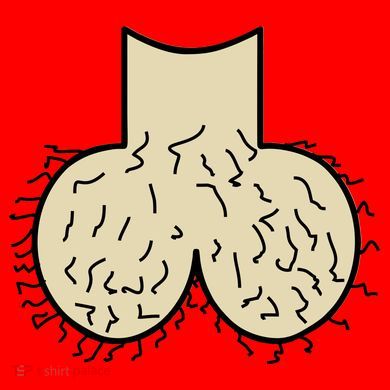 Dick Head Ball Sack Santa Hat
