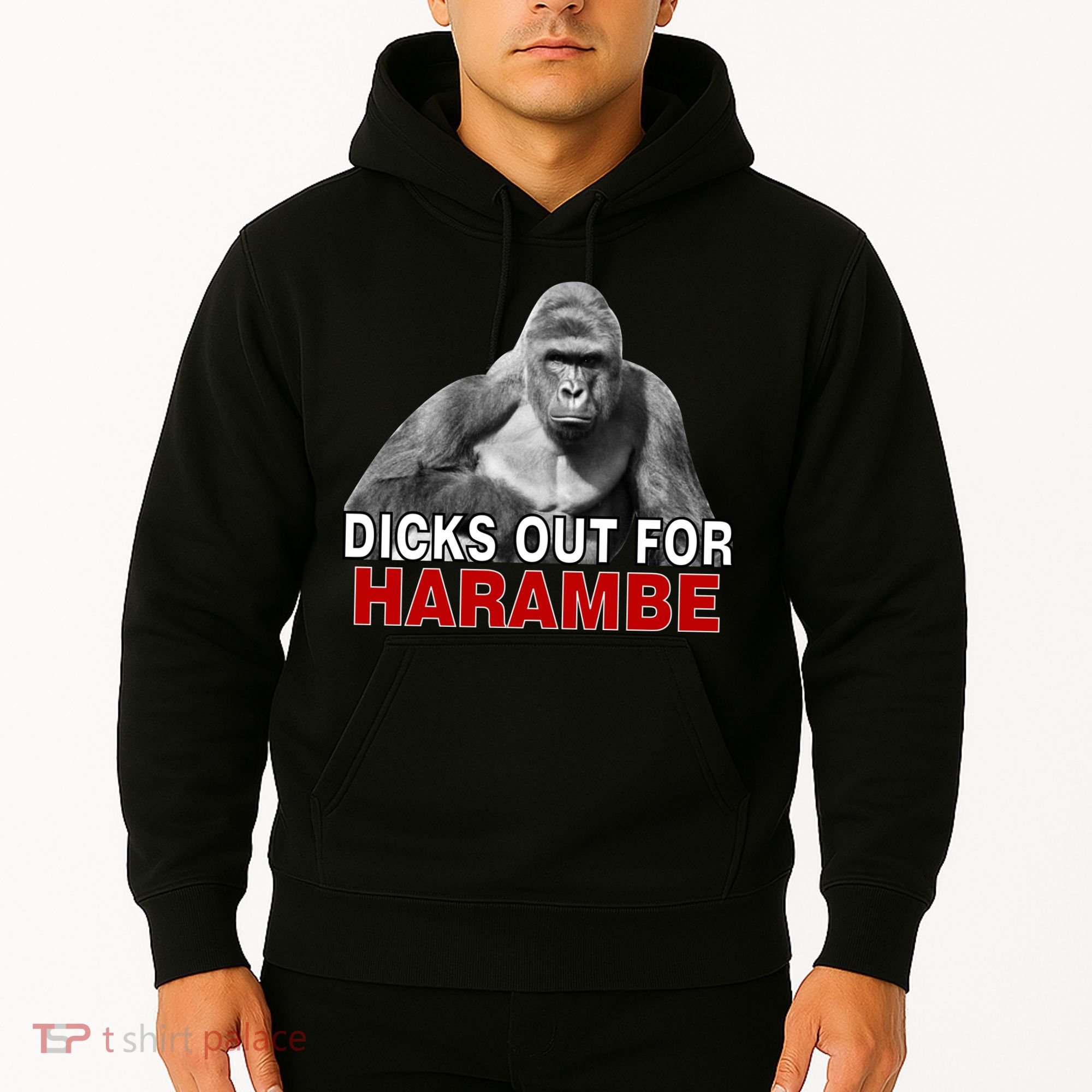 Dicks Out For Harambe Hoodie