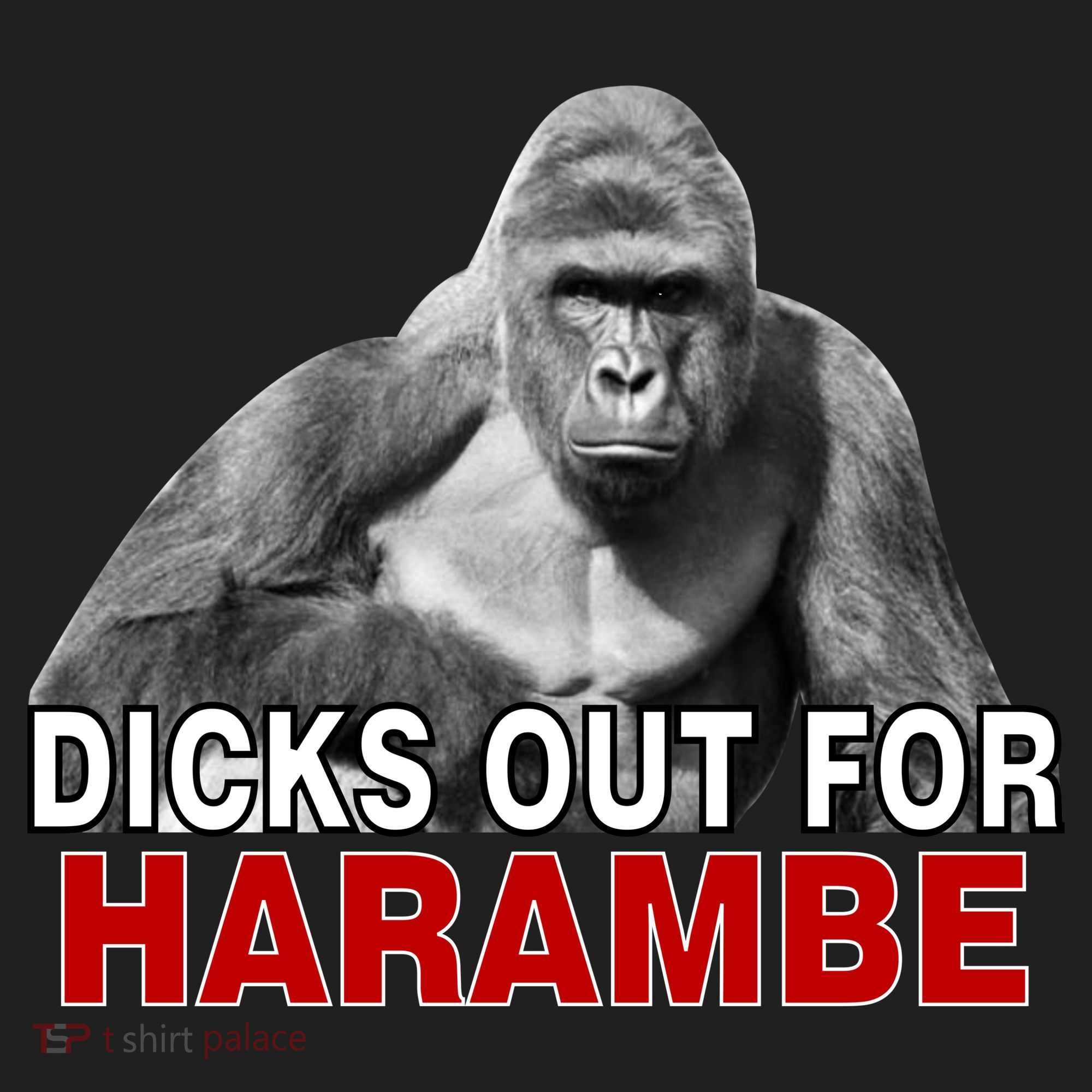 Dicks Out For Harambe Beanie