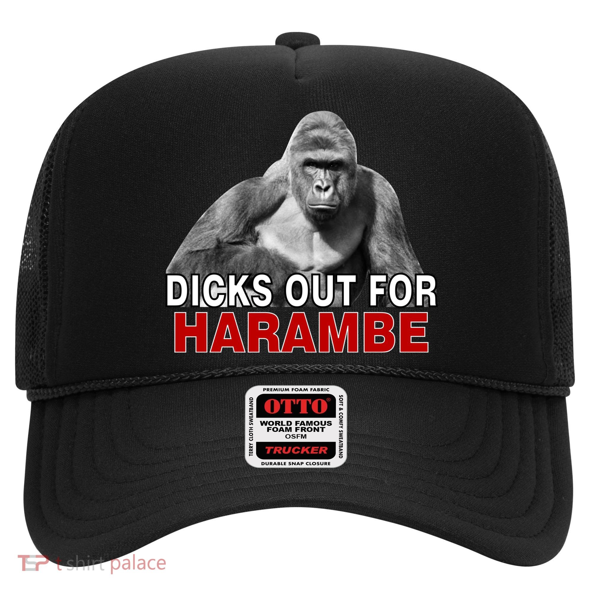 Dicks Out For Harambe Hat