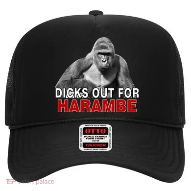 Dicks Out For Harambe Hat