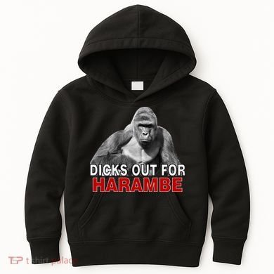 Dicks Out For Harambe Kids Hoodie