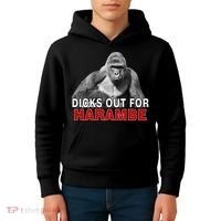 Dicks Out For Harambe Kids Hoodie thumb 4