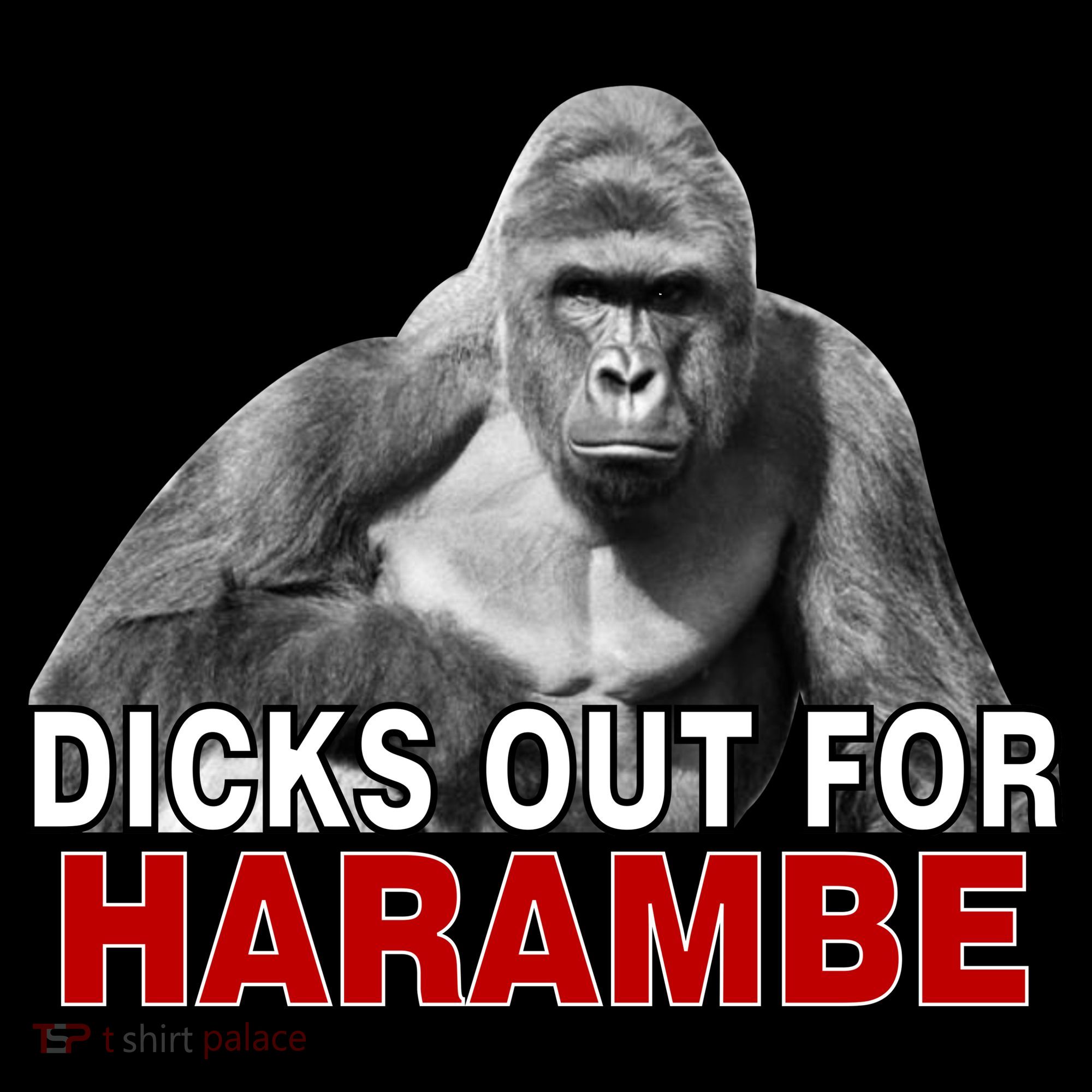 Dicks Out For Harambe Kids Hoodie