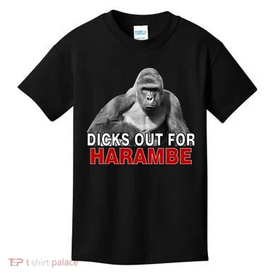 Dicks Out For Harambe Kids T-Shirt