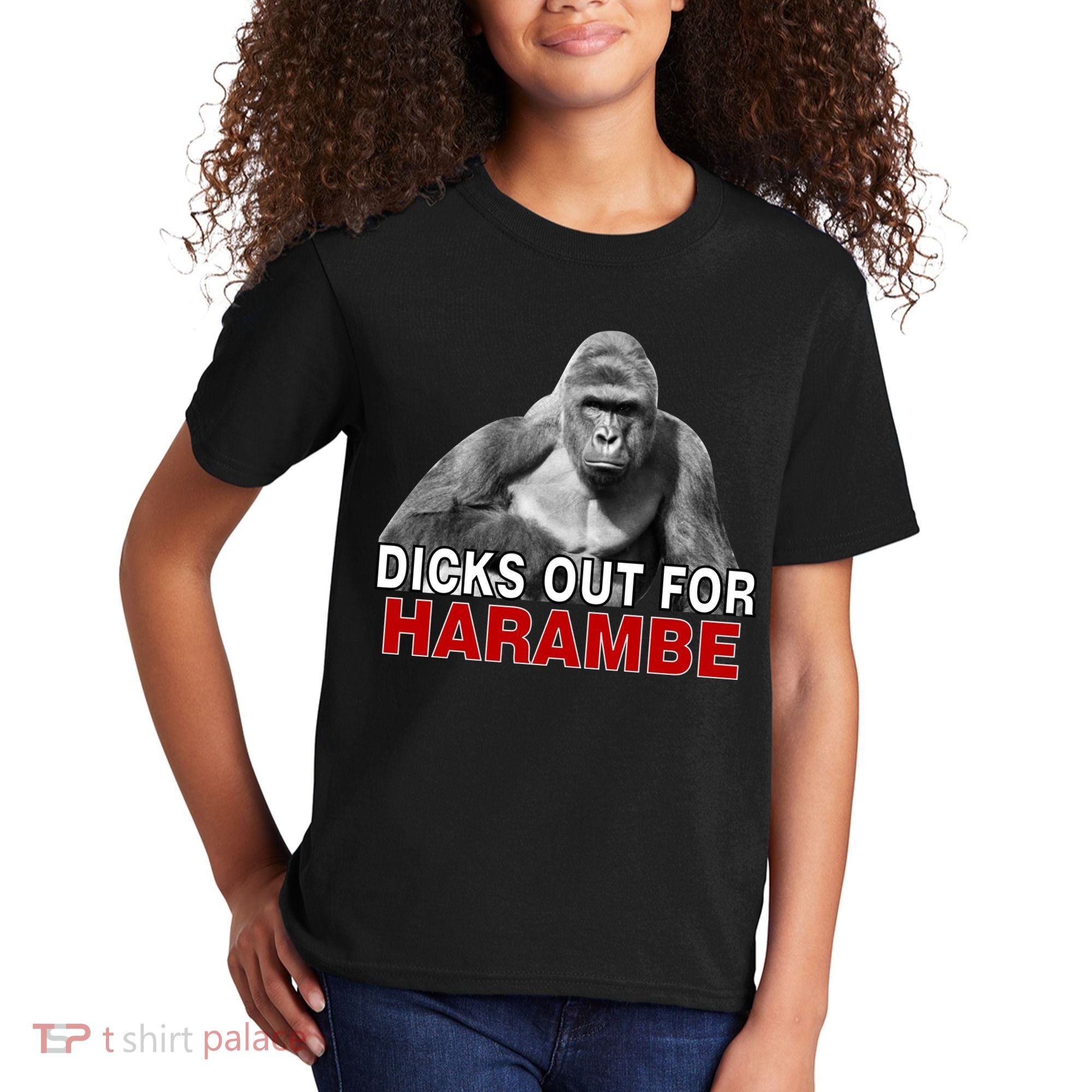 Dicks Out For Harambe Kids T-Shirt