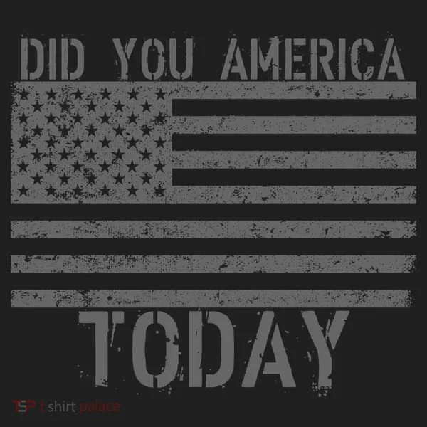 Did You America Today Distressed USA Flag Hat