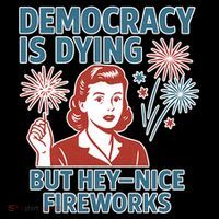 Democracy Is Dying But Hey Nice Fireworks Toddler Hoodie thumb 2