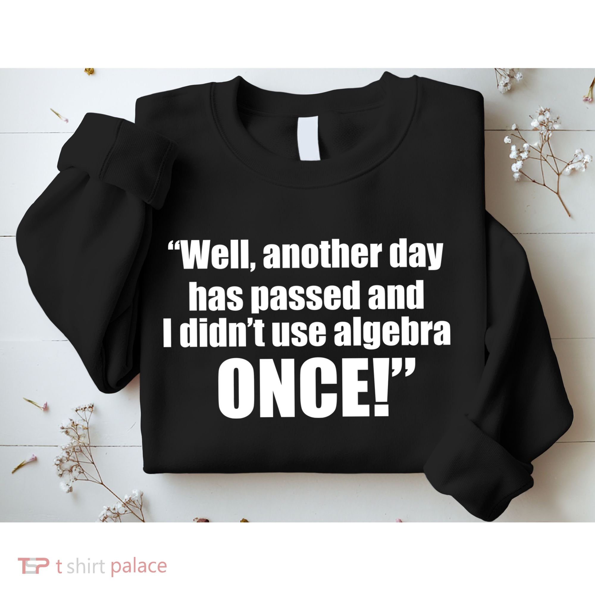 Didn't Use Algebra Today Math Irrelevance Funny Sweatshirt
