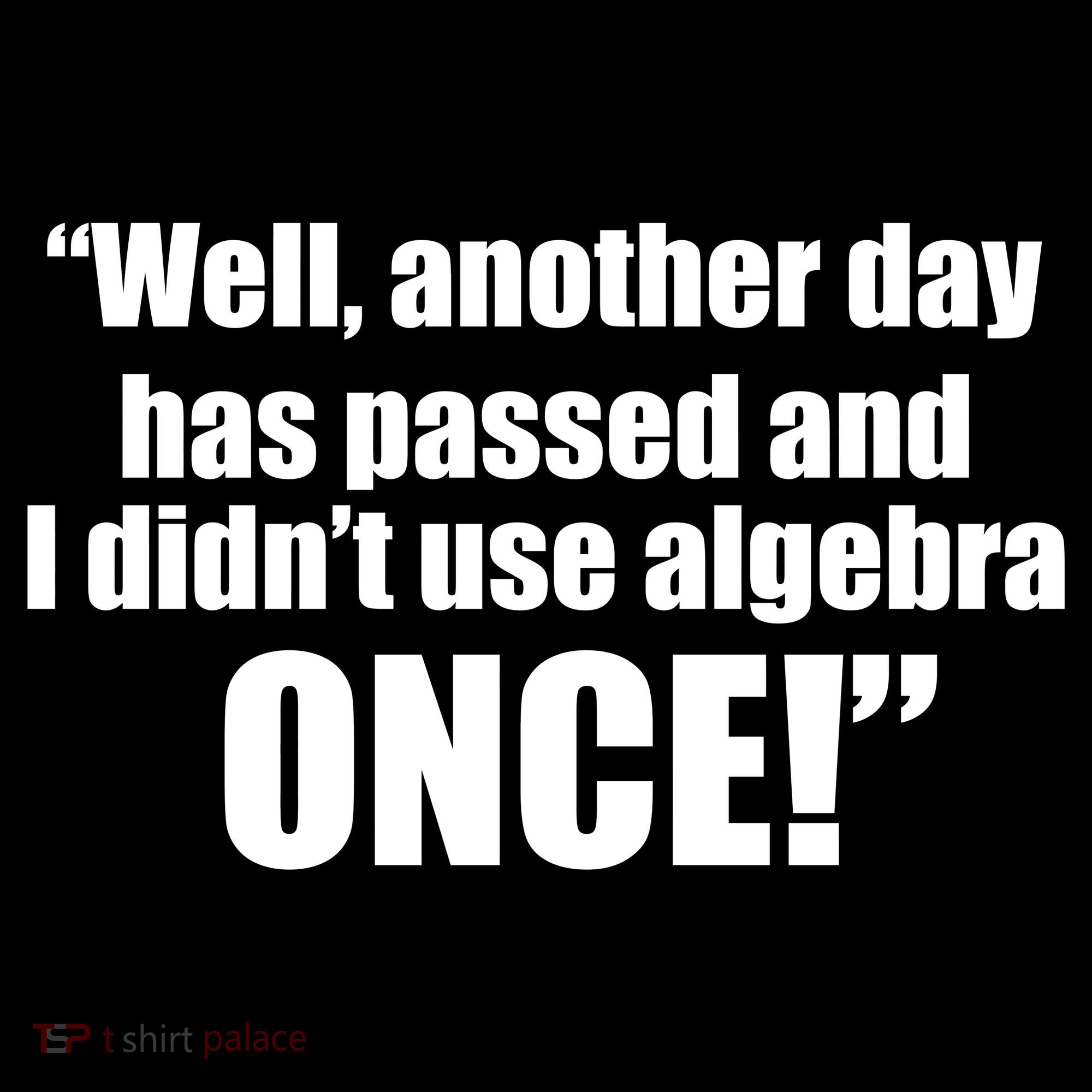 Didn't Use Algebra Today Math Irrelevance Funny Women's T-Shirt