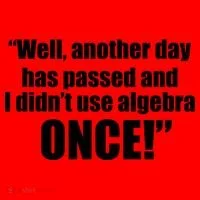 Didn't Use Algebra Today Math Irrelevance Funny Santa Hat thumb 1