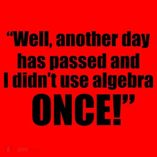 Didn't Use Algebra Today Math Irrelevance Funny Santa Hat