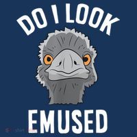 Do I Look Amused Funny Emu Animal Love Emus. Women's Hoodie thumb 2