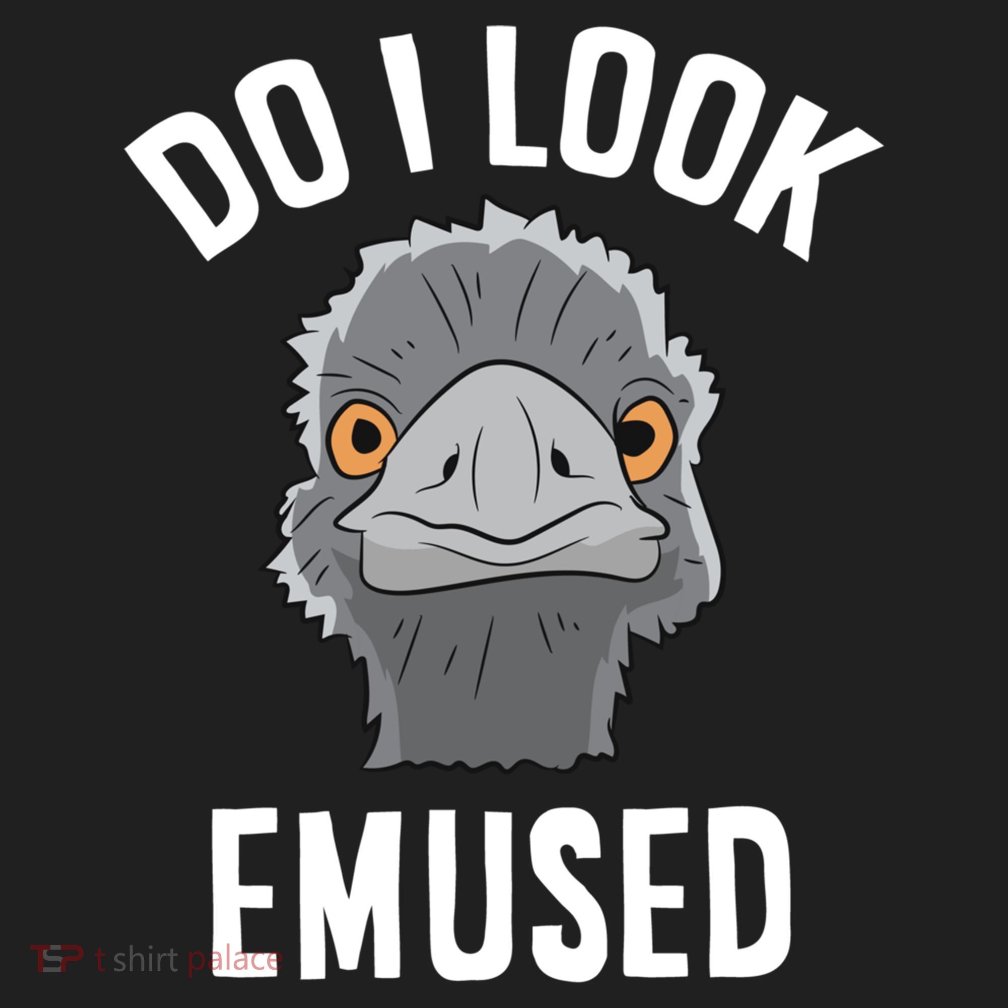 Do I Look Amused Funny Emu Animal Love Emus Gift Beanie