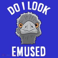 Do I Look Amused Funny Emu Animal Love Emus Gift Sweatshirt thumb 3