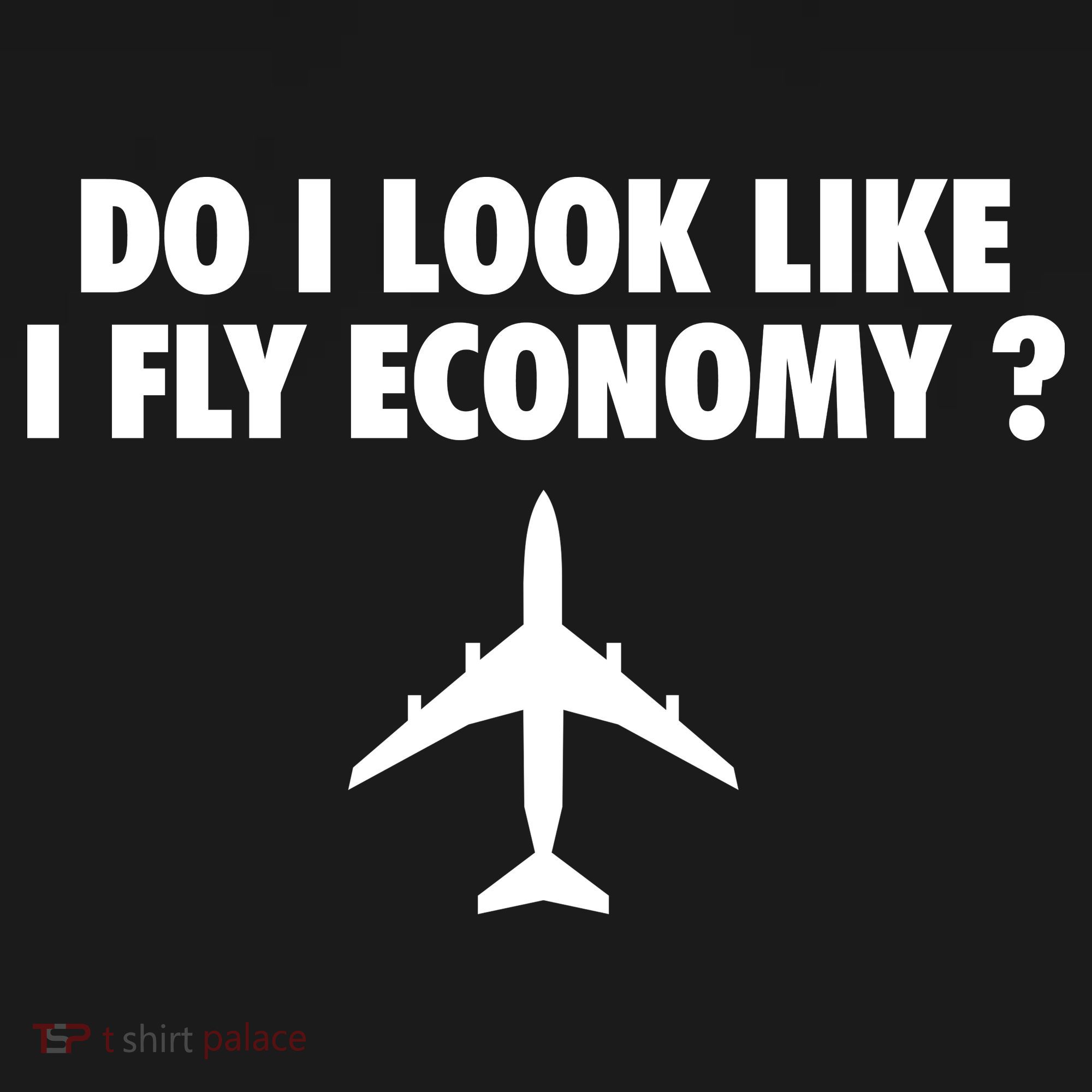 Do I Look Like I Fly Economy Funny First Class Traveling Ornament