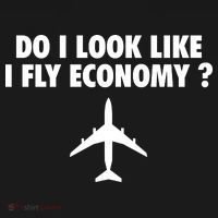 Do I Look Like I Fly Economy Funny First Class Traveling Toddler Hoodie thumb 2
