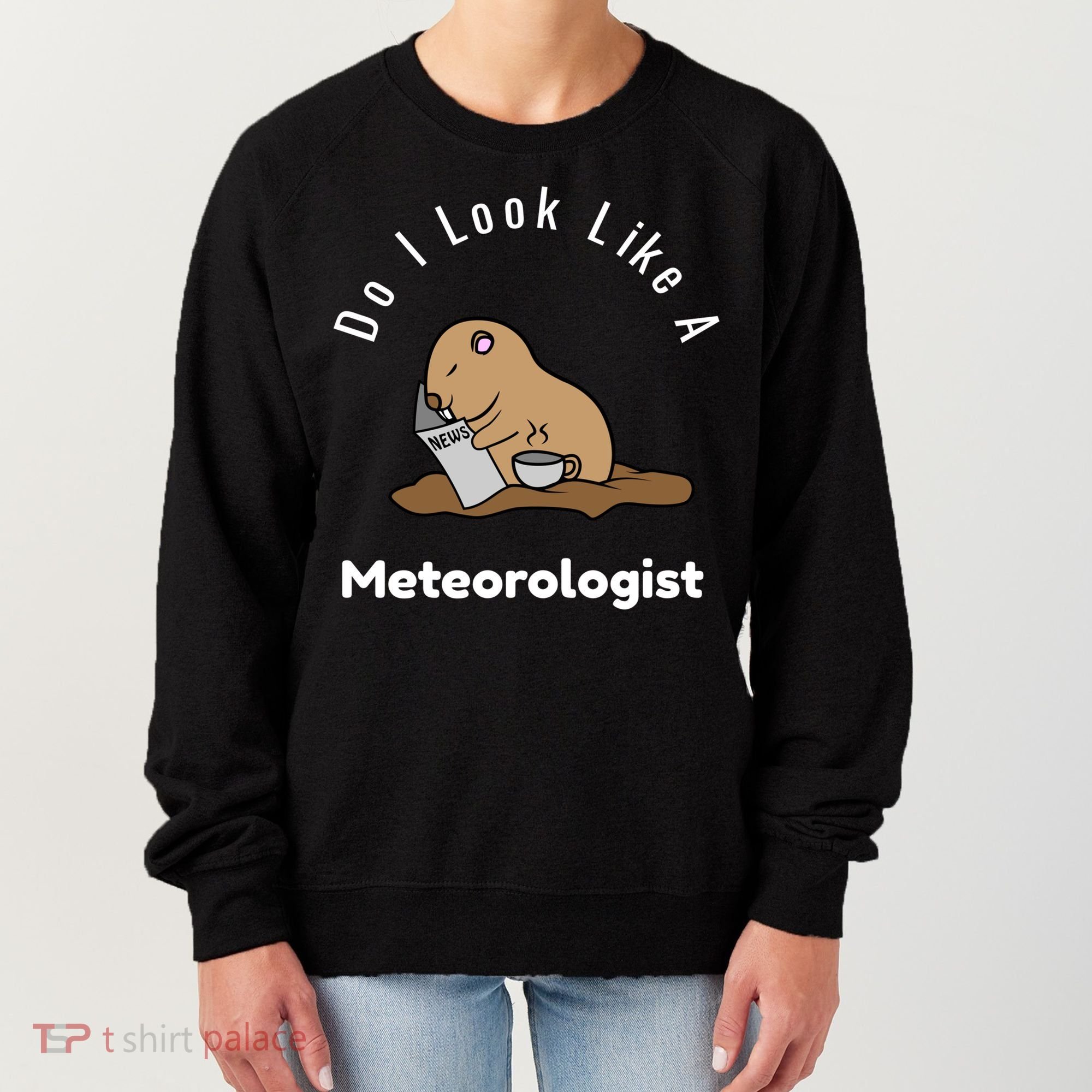 Do I Look Like A Ground Hogs Day Punxsutawney Phil Woodchuck Cool Gift Women's Sweatshirt