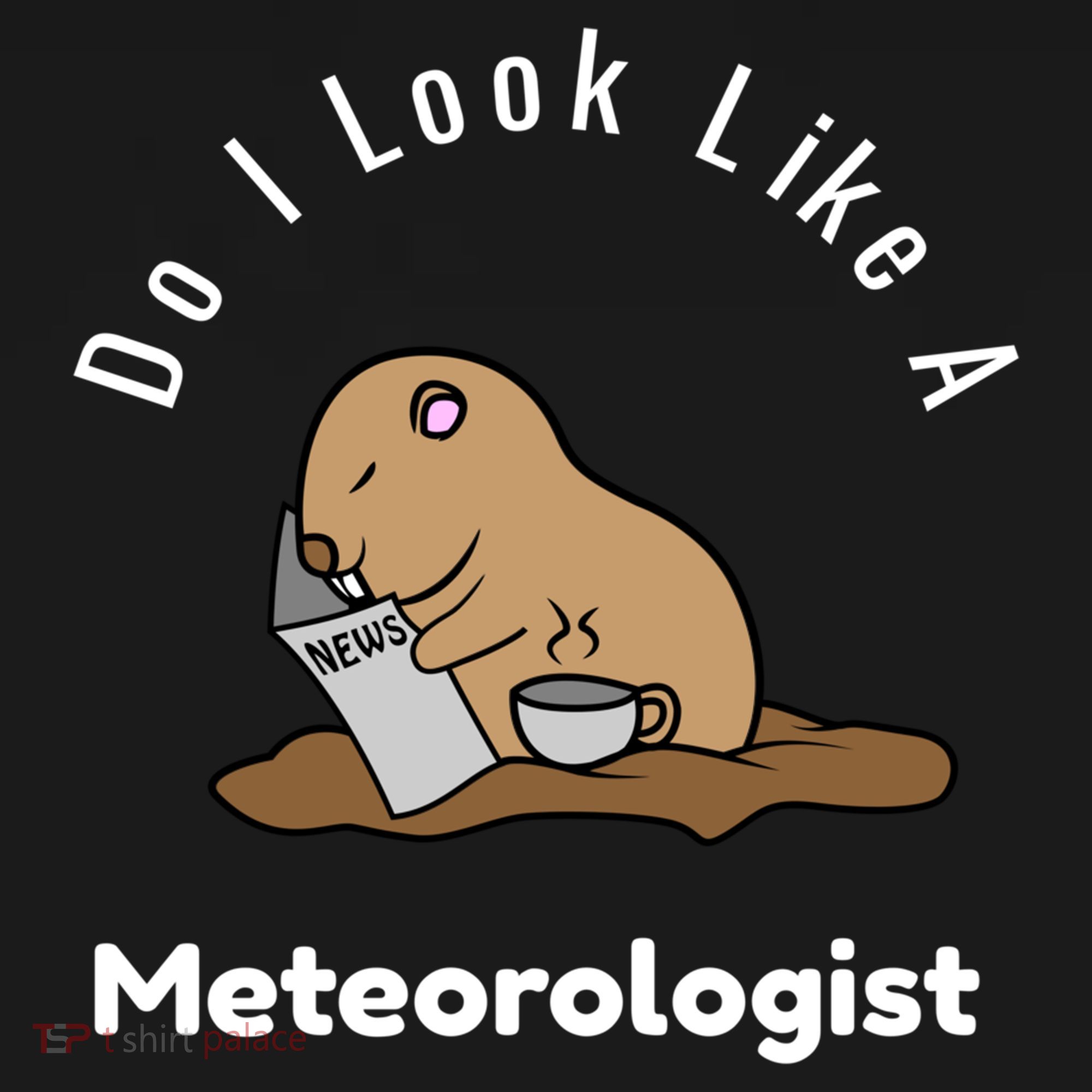 Do I Look Like A Ground Hogs Day Punxsutawney Phil Woodchuck Cool Gift Backpack