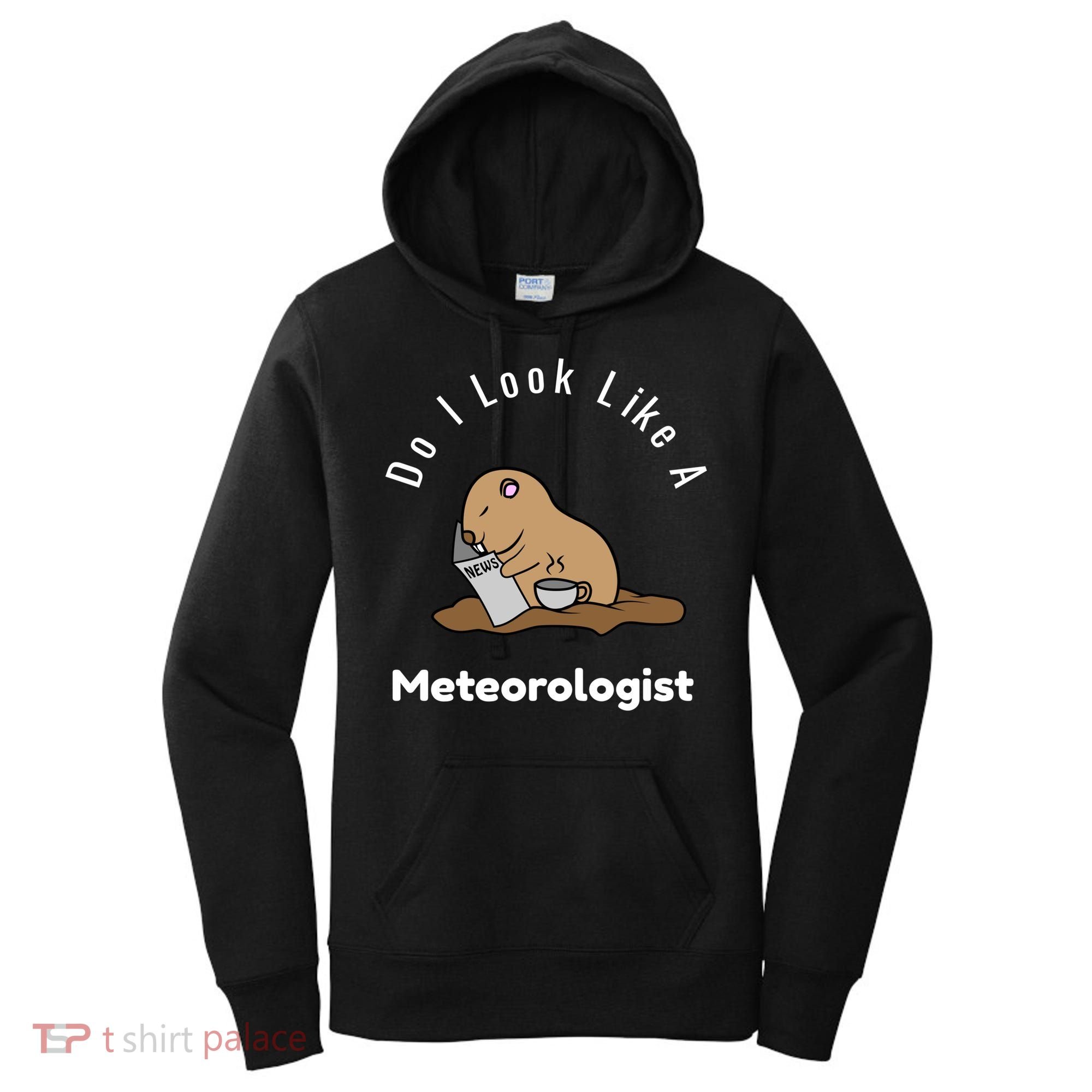 Do I Look Like A Ground Hogs Day Punxsutawney Phil Woodchuck Cool Gift Women's Hoodie