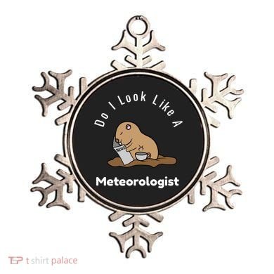Do I Look Like A Ground Hogs Day Punxsutawney Phil Woodchuck Cool Gift Ornament