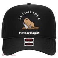 Do I Look Like A Ground Hogs Day Punxsutawney Phil Woodchuck Cool Gift Hat thumb 0