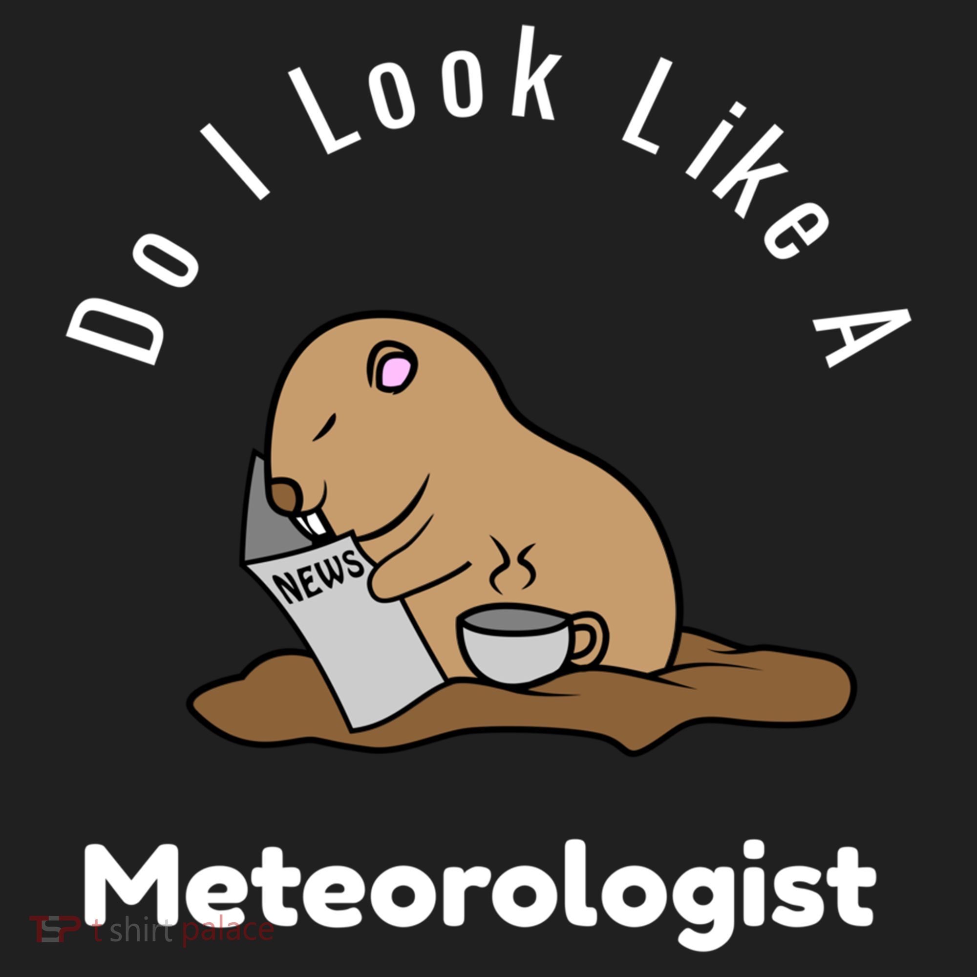 Do I Look Like A Ground Hogs Day Punxsutawney Phil Woodchuck Cool Gift Hat