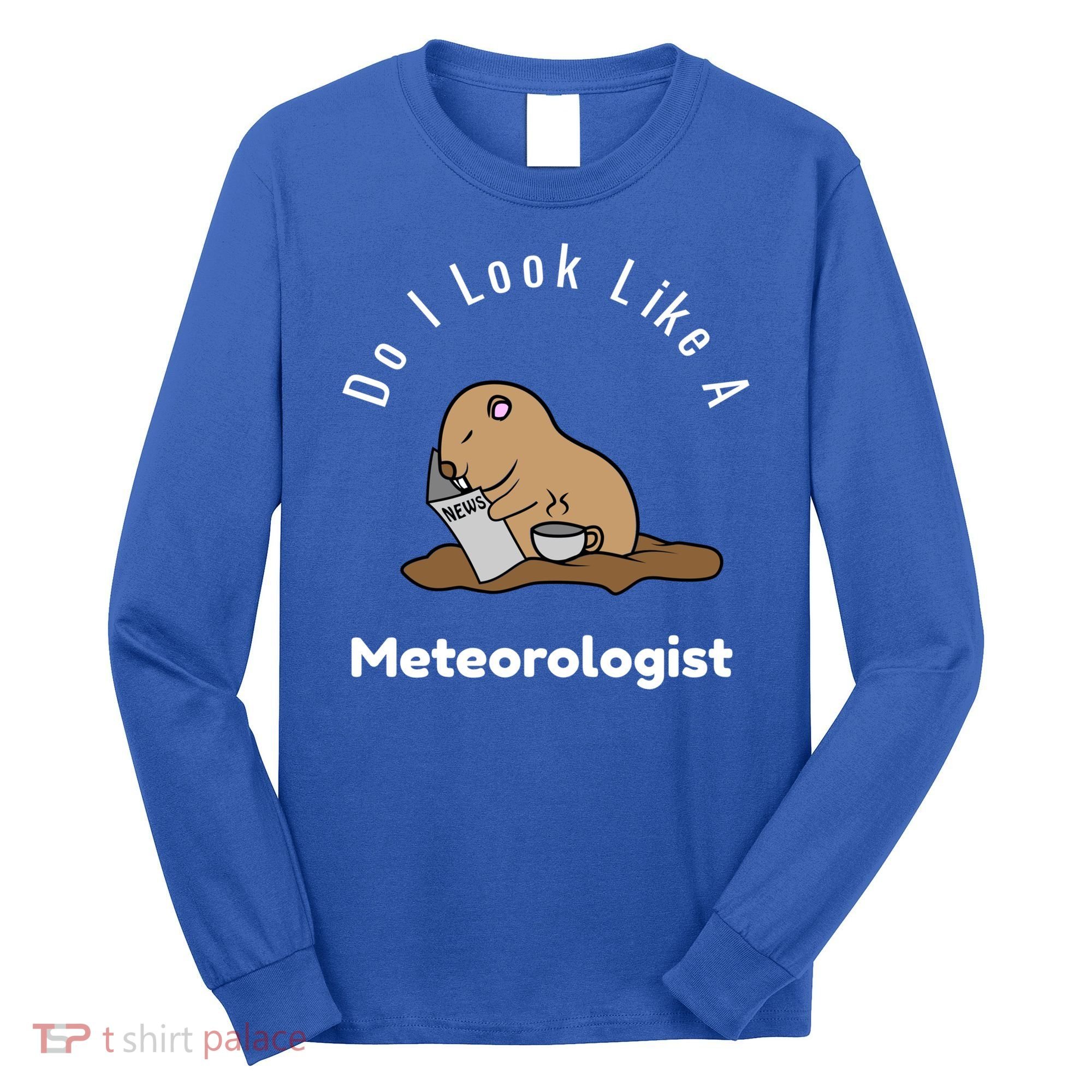 Do I Look Like A Ground Hogs Day Punxsutawney Phil Woodchuck Cool Gift Long Sleeve Shirt