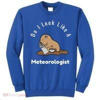 Do I Look Like A Ground Hogs Day Punxsutawney Phil Woodchuck Cool Gift Sweatshirt thumb 0