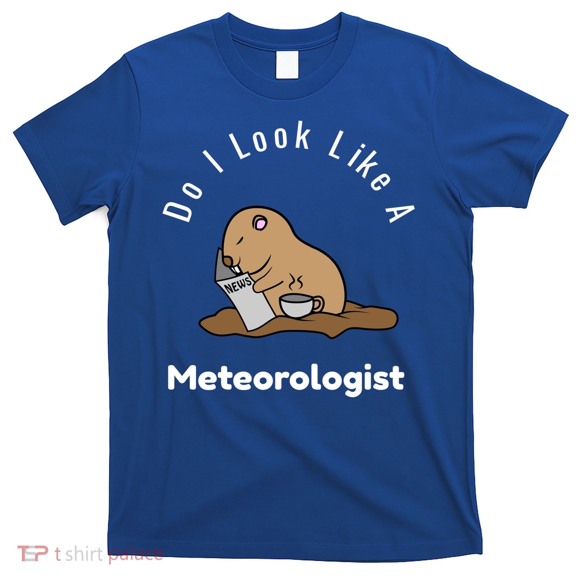 Do I Look Like A Ground Hogs Day Punxsutawney Phil Woodchuck Cool Gift T-Shirt