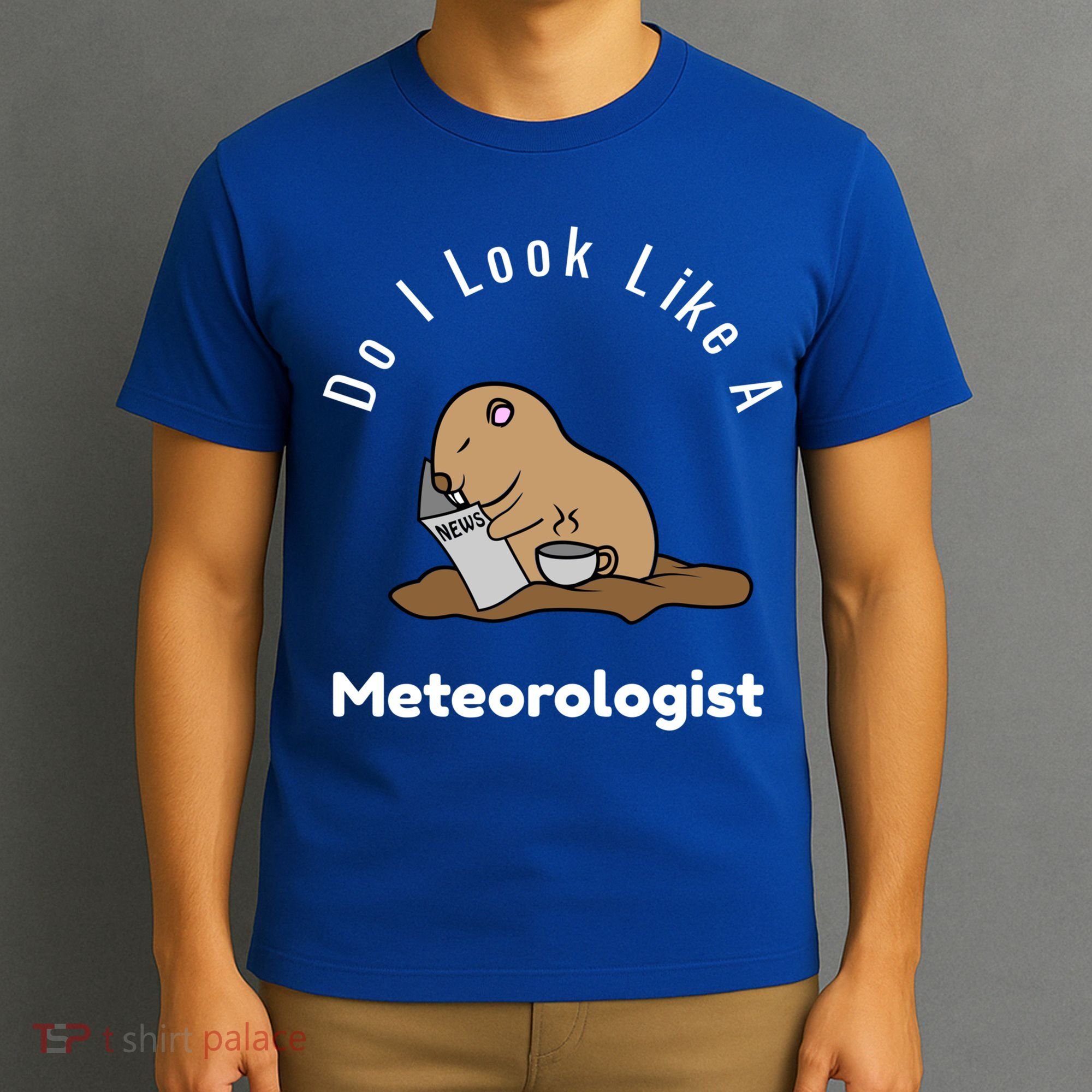 Do I Look Like A Ground Hogs Day Punxsutawney Phil Woodchuck Cool Gift T-Shirt