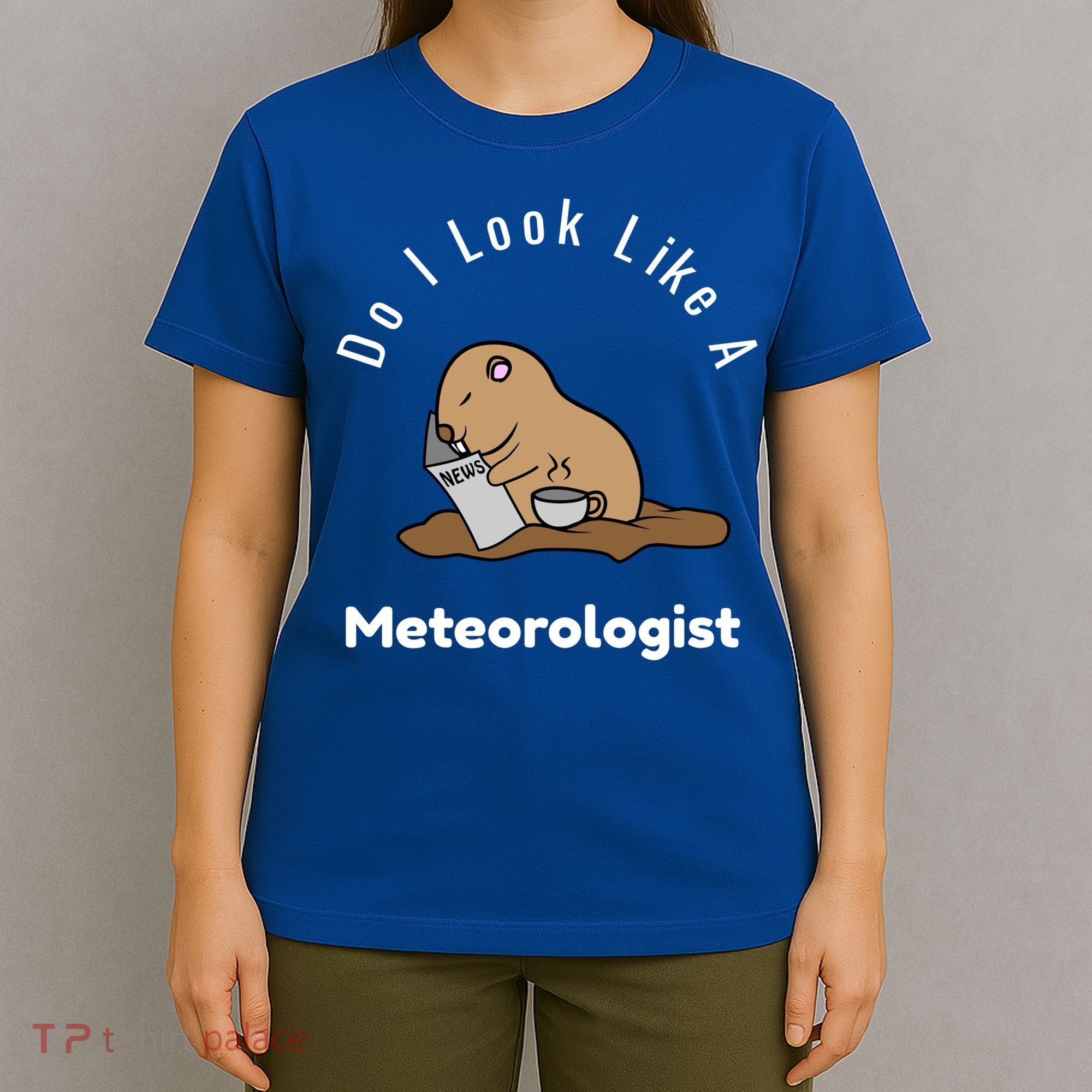 Do I Look Like A Ground Hogs Day Punxsutawney Phil Woodchuck Cool Gift T-Shirt