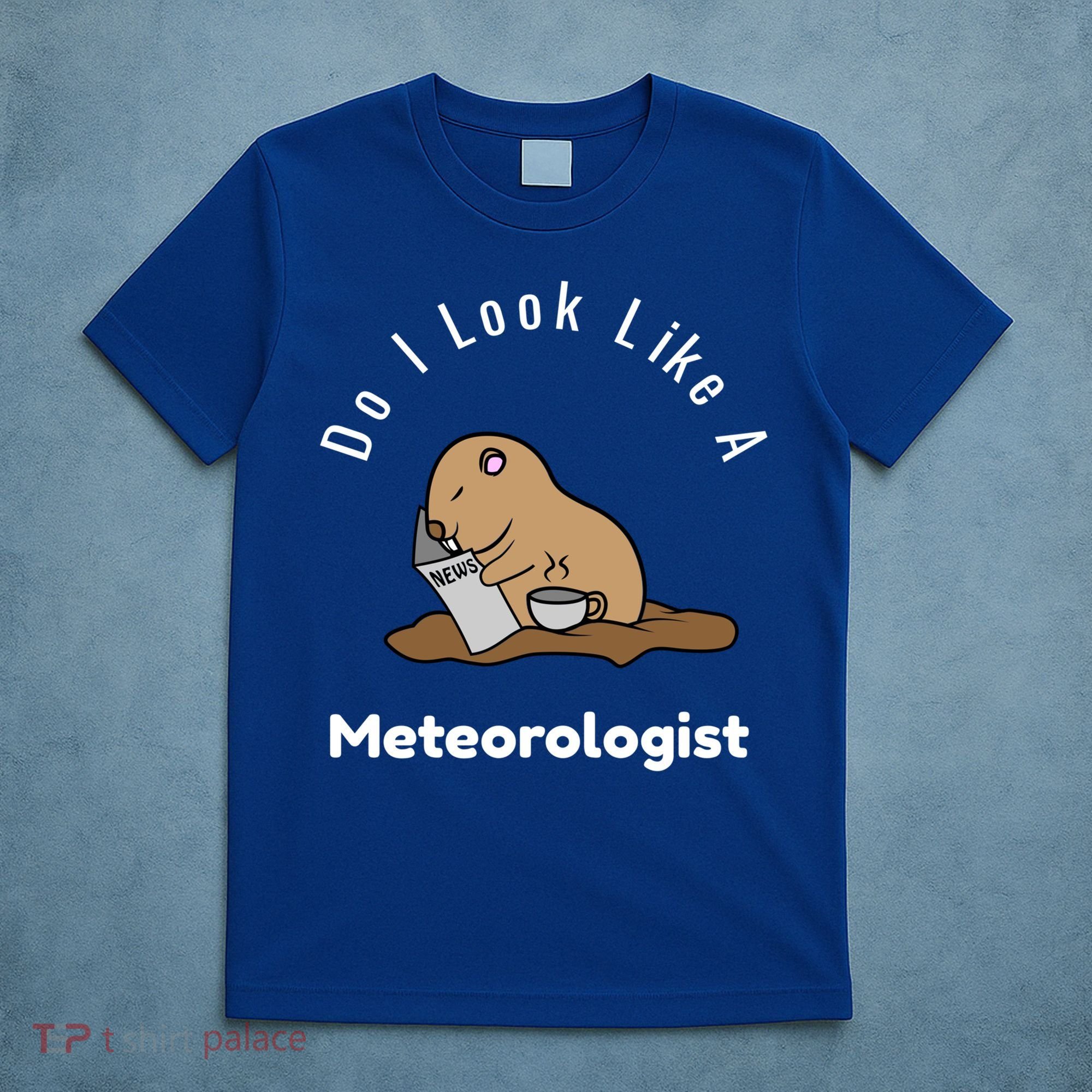 Do I Look Like A Ground Hogs Day Punxsutawney Phil Woodchuck Cool Gift T-Shirt