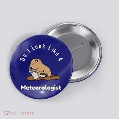 Do I Look Like A Ground Hogs Day Punxsutawney Phil Woodchuck Cool Gift Button