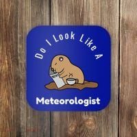 Do I Look Like A Ground Hogs Day Punxsutawney Phil Woodchuck Cool Gift Coaster thumb 0