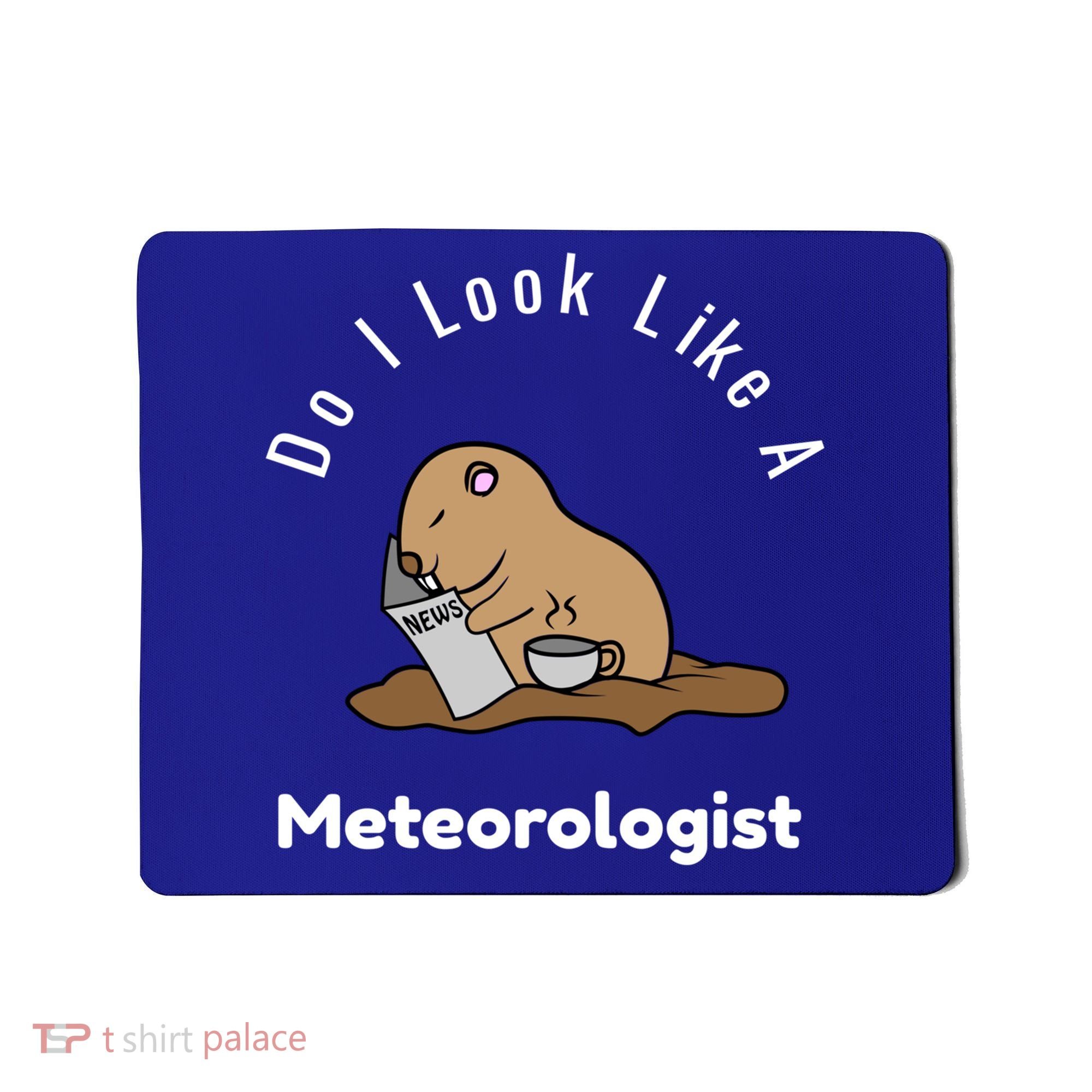 Do I Look Like A Ground Hogs Day Punxsutawney Phil Woodchuck Cool Gift Mousepad