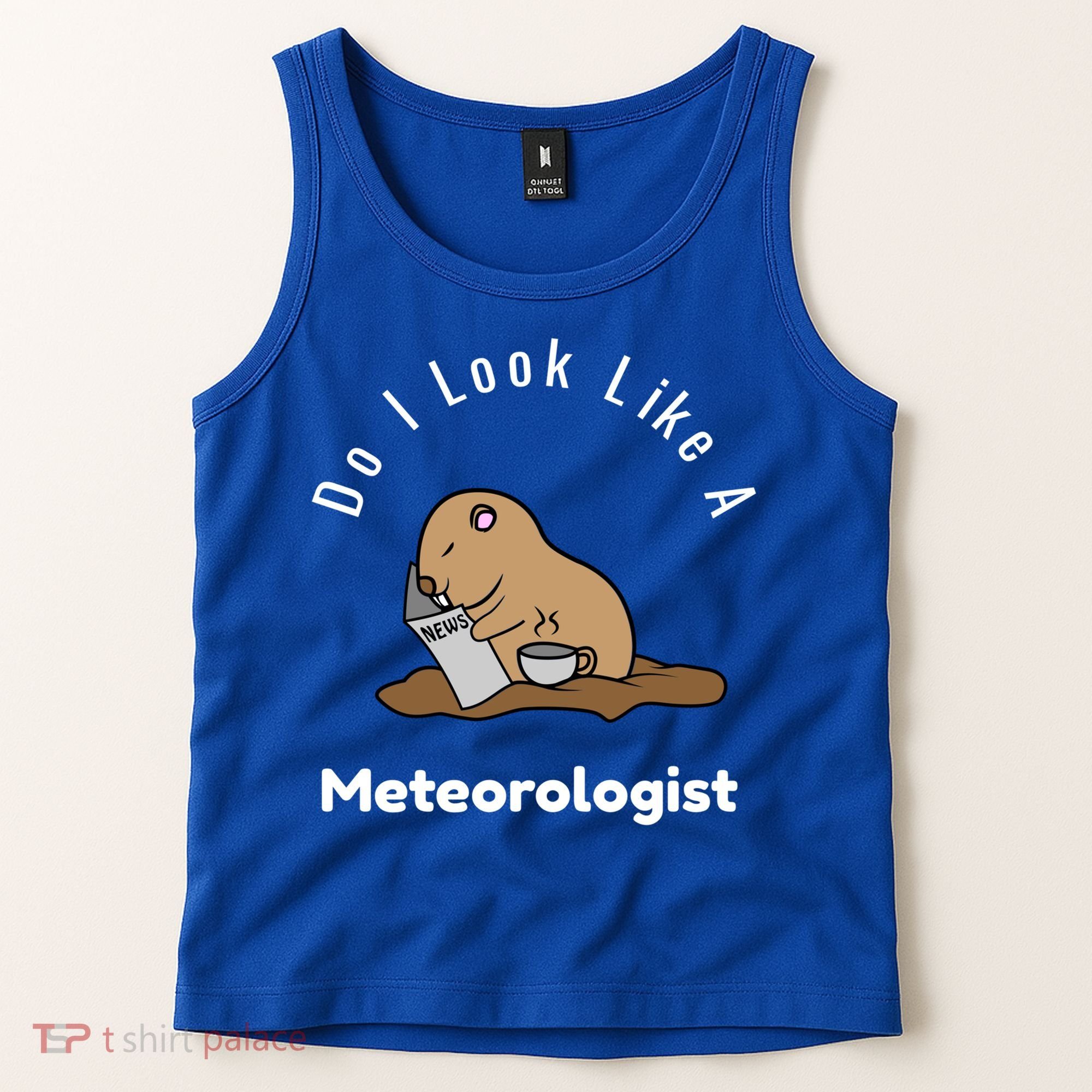 Do I Look Like A Ground Hogs Day Punxsutawney Phil Woodchuck Cool Gift Tank Top
