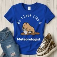 Do I Look Like A Ground Hogs Day Punxsutawney Phil Woodchuck Cool Gift Women's T-Shirt thumb 3