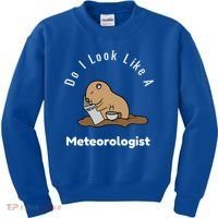 Do I Look Like A Ground Hogs Day Punxsutawney Phil Woodchuck Cool Gift Kids Sweatshirt thumb 0