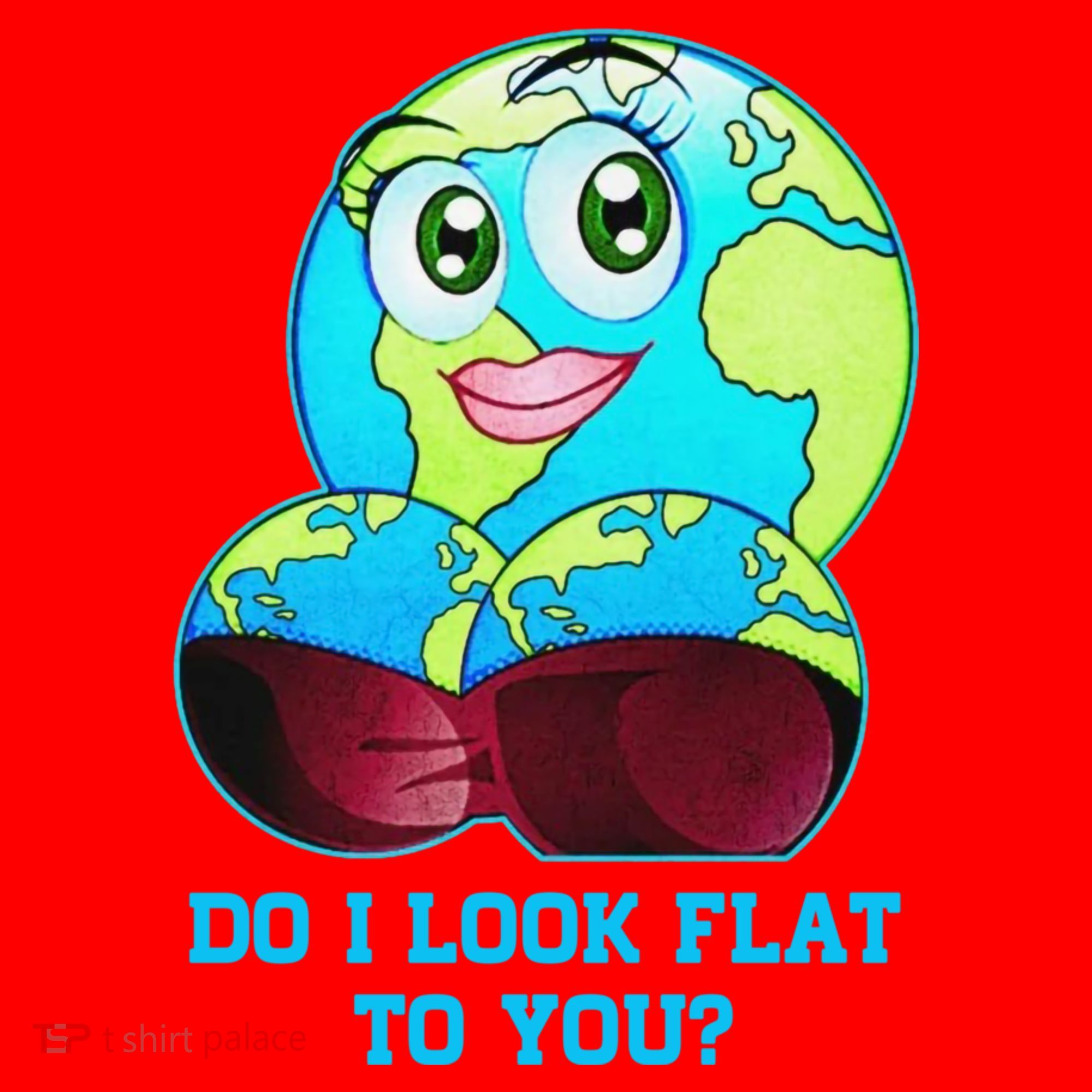 Do I Look Flat To You Funny Anti Flat Earth Santa Hat