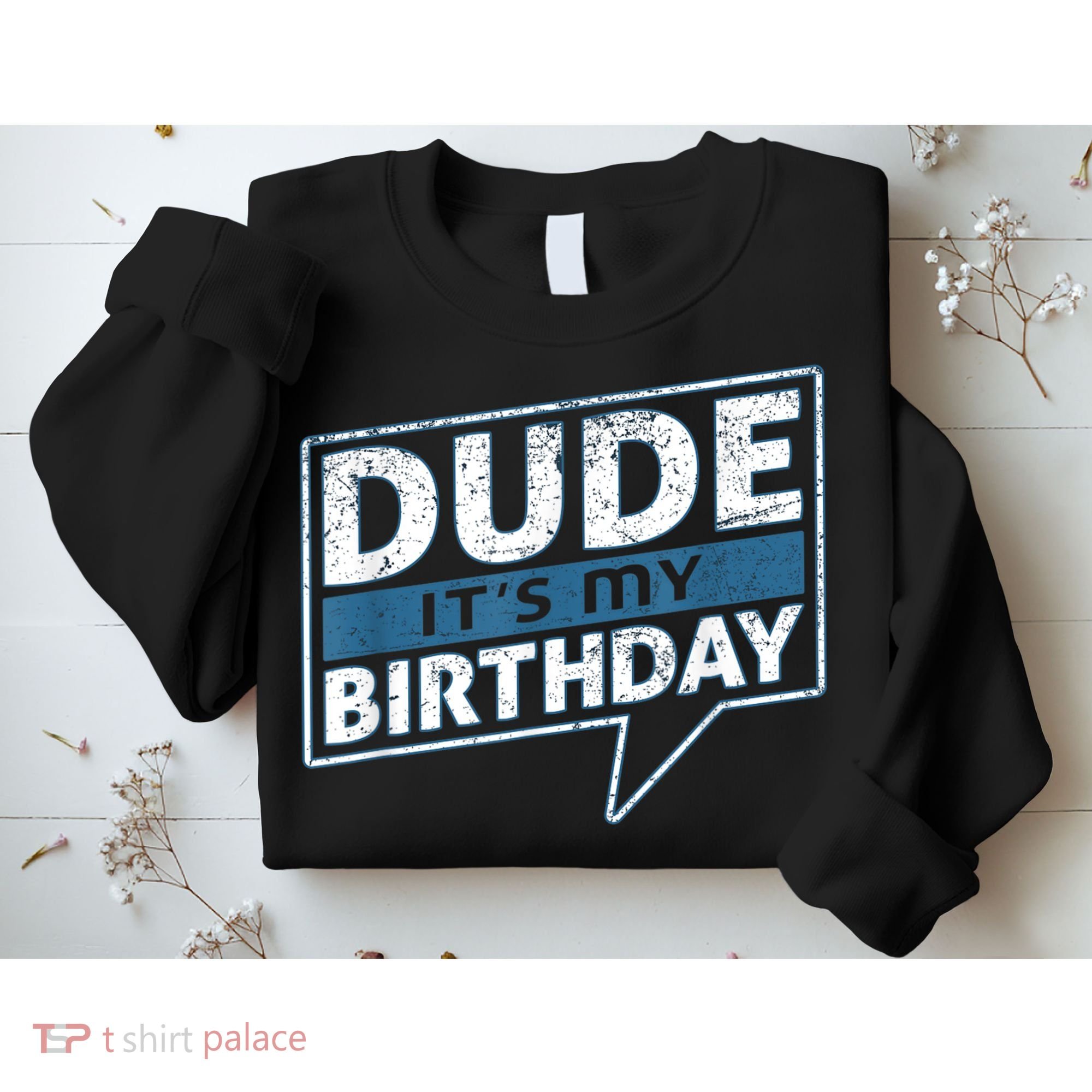 Dude Its My Birthday Party Happy Celebration Sweatshirt