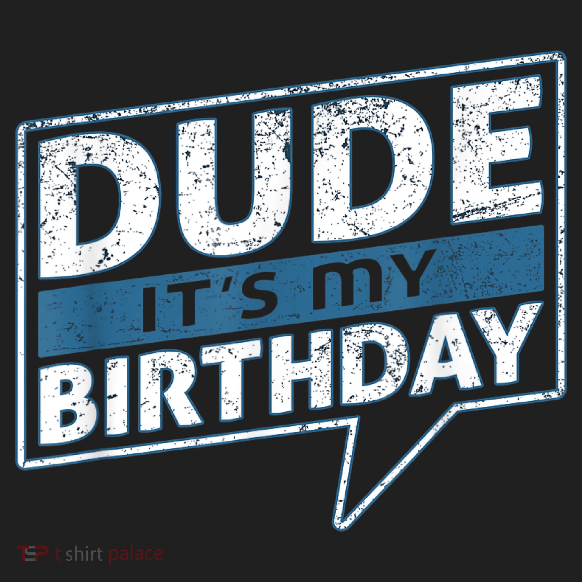 Dude Its My Birthday Party Happy Celebration Hat