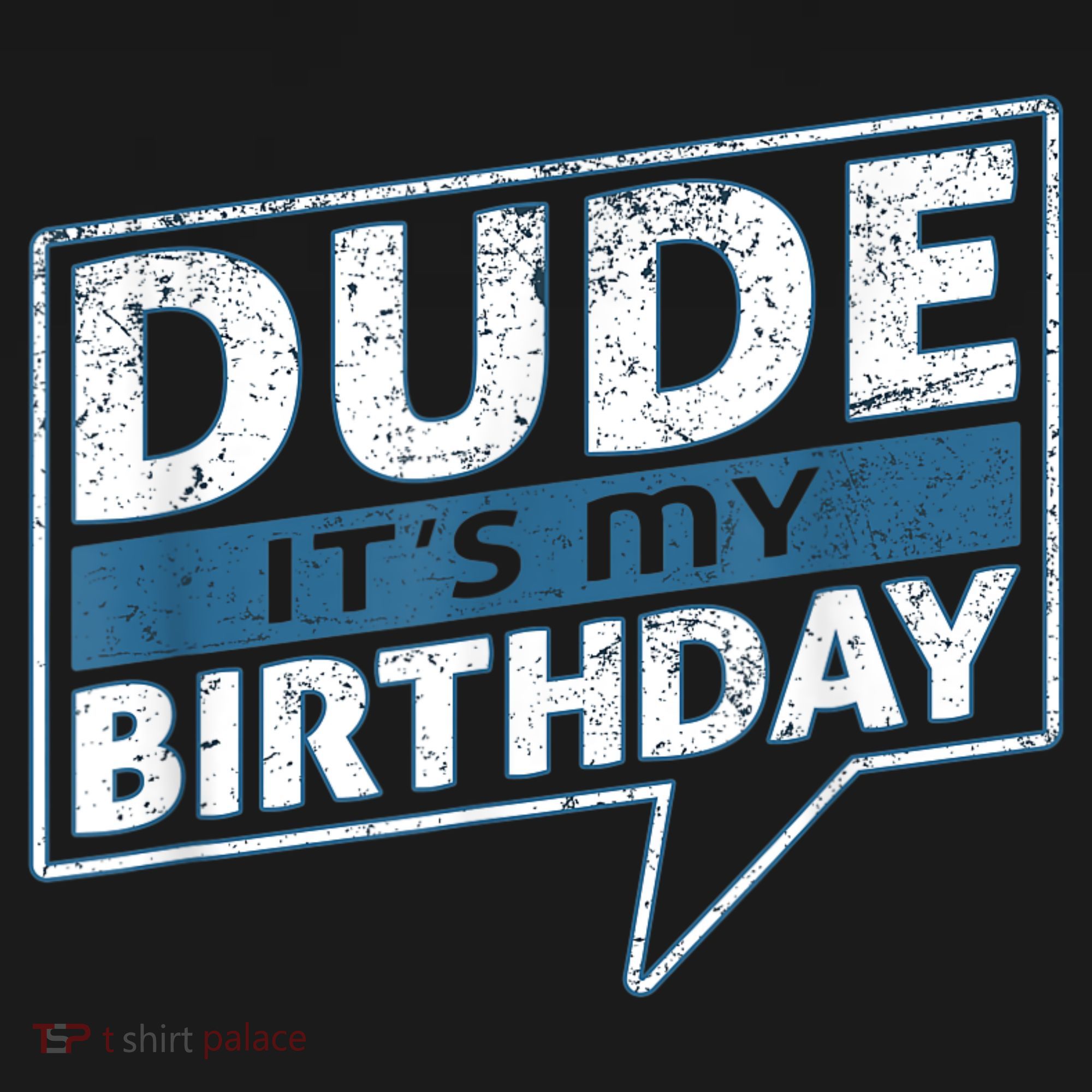 Dude Its My Birthday Party Happy Celebration Kids Hoodie