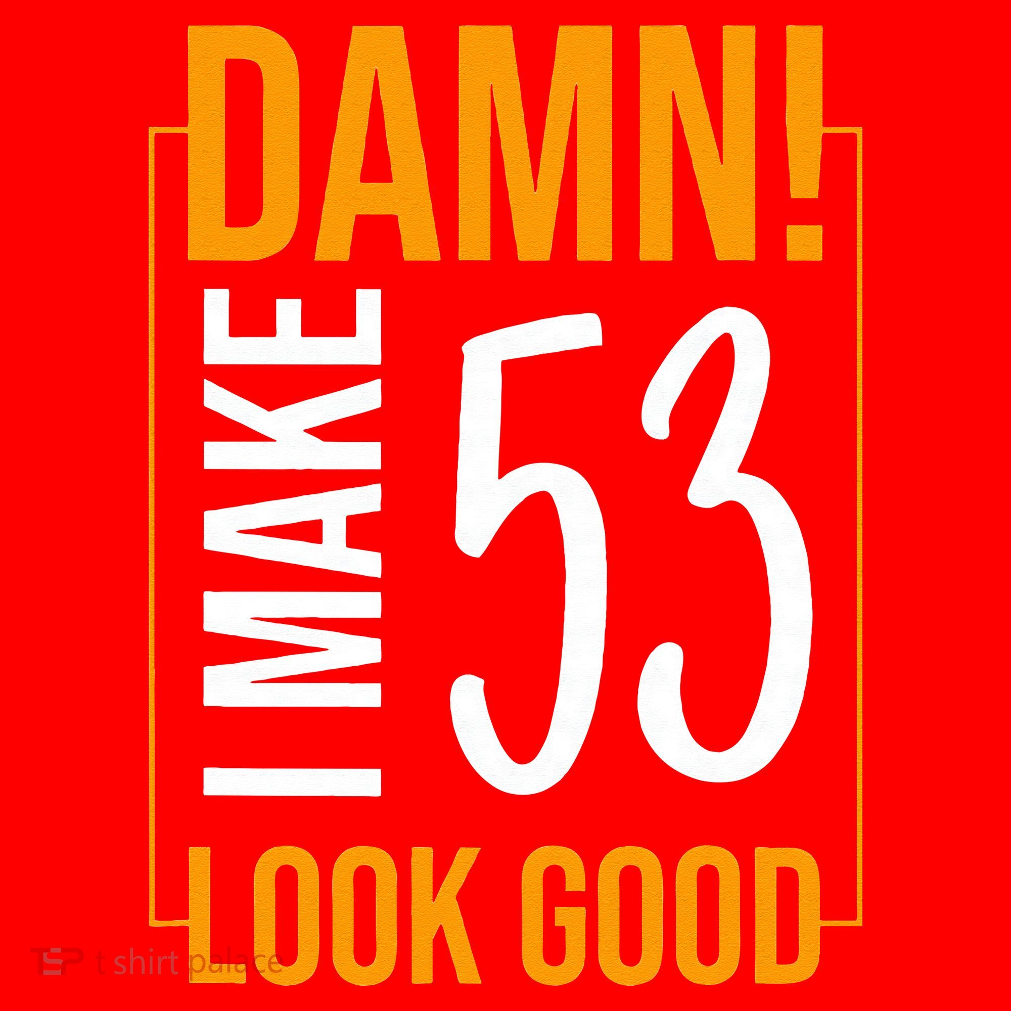 Damn! I Make Age 53 Years Old Look Good Birthday Gift Funny Santa Hat