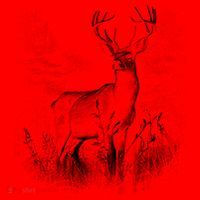 Deer In Nature Realistic Santa Hat thumb 1