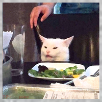 Dinner Table Cat Meme Funny Internet Yelling Kids Hoodie thumb 2