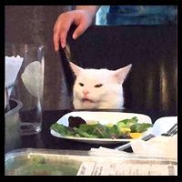 Dinner Table Cat Meme Funny Internet Yelling Hoodie thumb 7