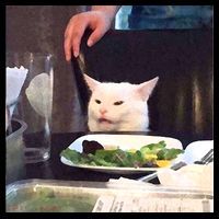 Dinner Table Cat Meme Funny Internet Yelling Coffee Mug thumb 5