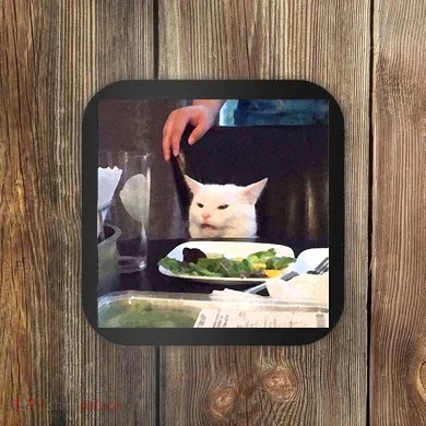 Dinner Table Cat Meme Funny Internet Yelling Coaster