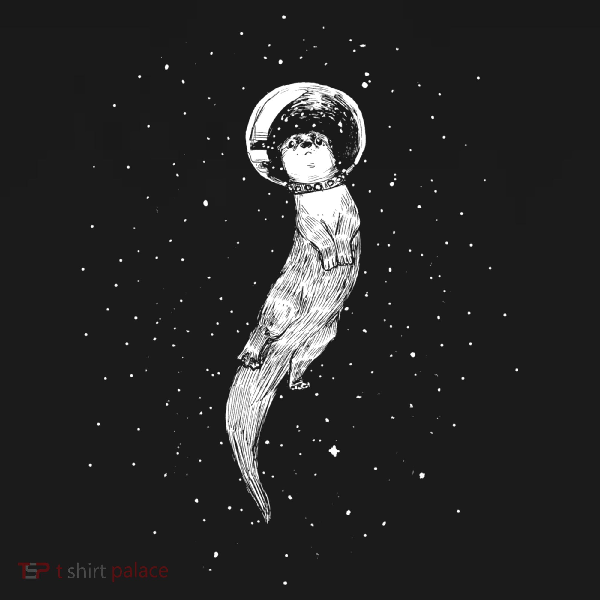 Drifting In Otter Space (Best For Color) T-Shirt